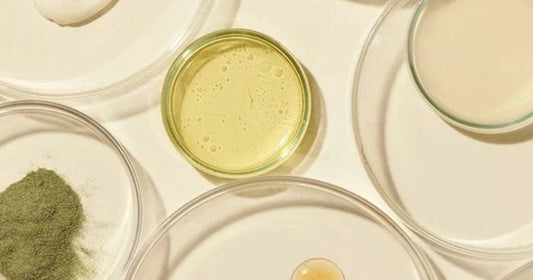 Top 7 Natural Ingredients to Add to Your Skincare Routine